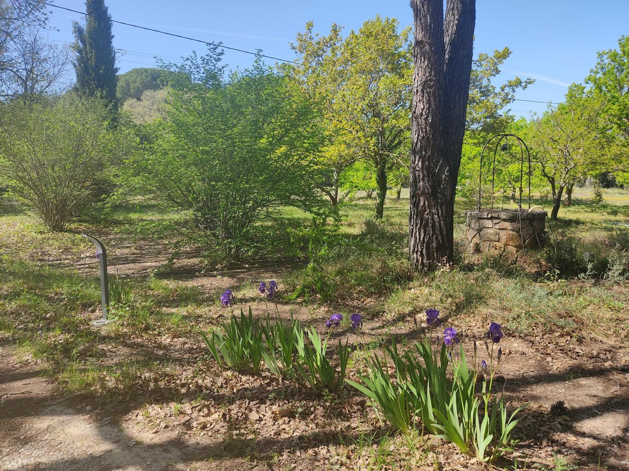 Villa Dans La Foret Provencale Jouques Екстер'єр фото