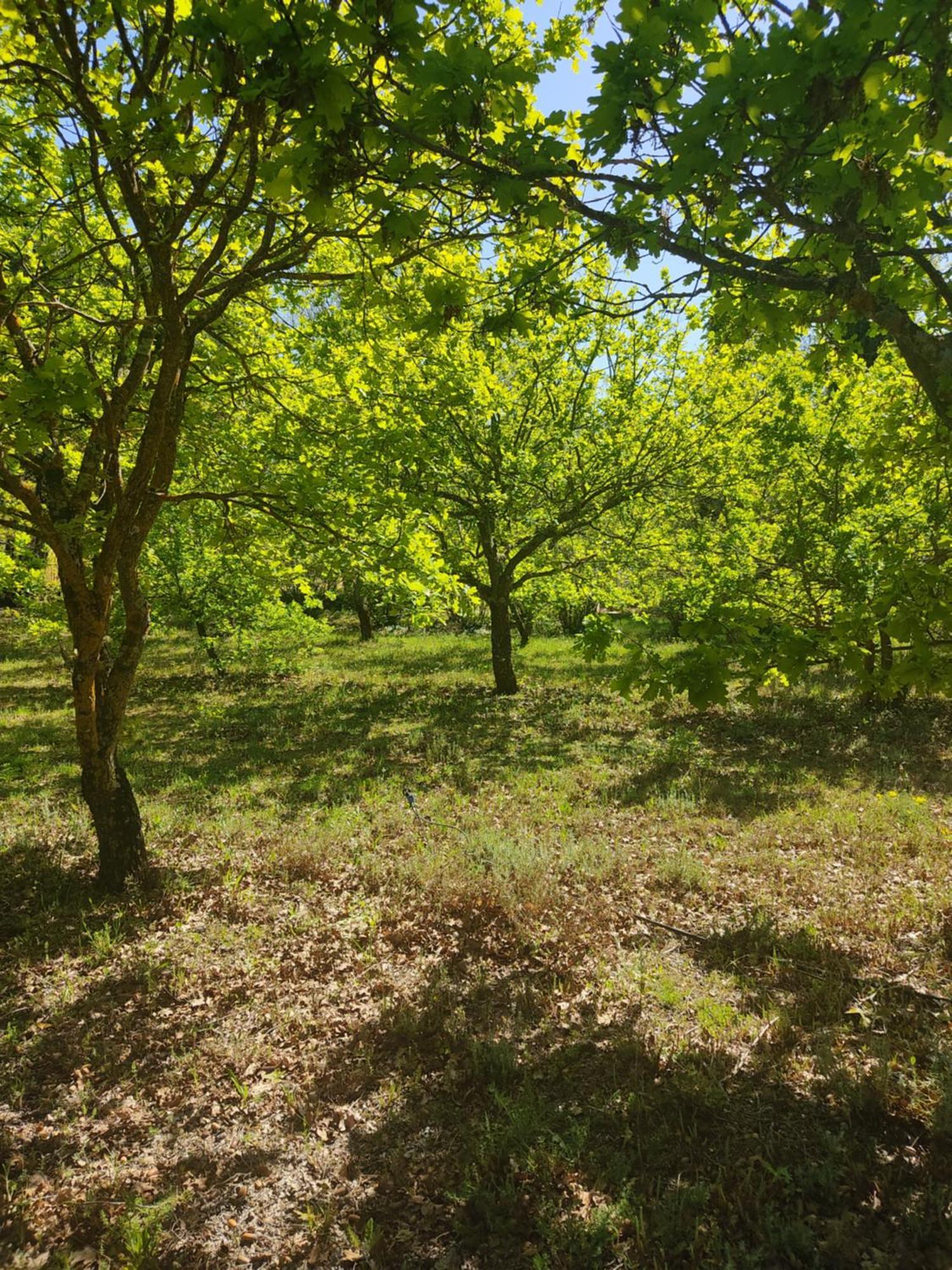 Villa Dans La Foret Provencale Jouques Екстер'єр фото